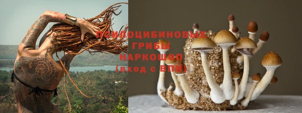 сатива Алексеевка