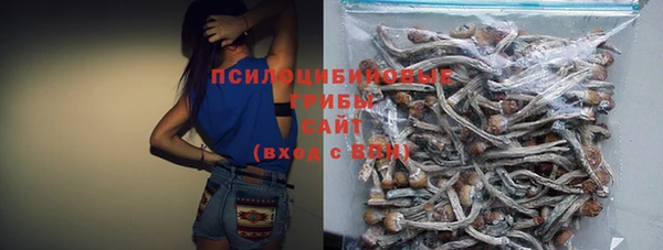 крисы Алексин
