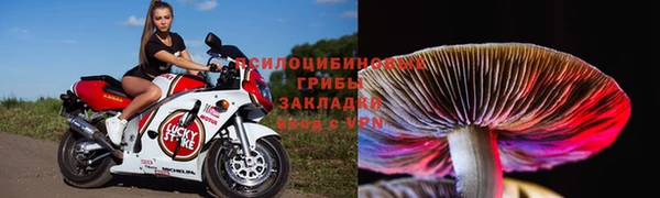 сатива Алексеевка