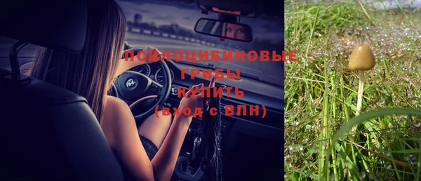 соль ск Алзамай