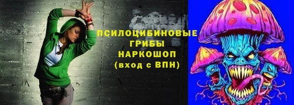 сатива Алексеевка