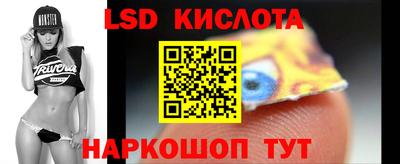 стаф Донской