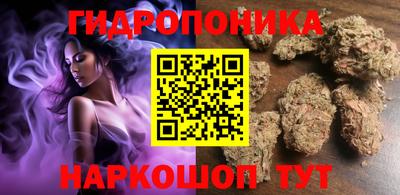 стаф Донской