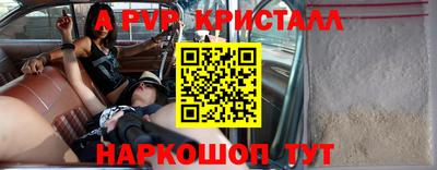 стаф Донской