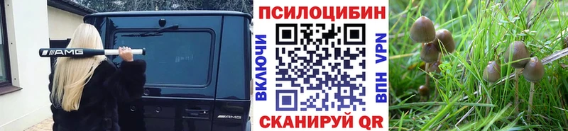 мориарти формула  где продают   Уссурийск  Псилоцибиновые грибы мухоморы 