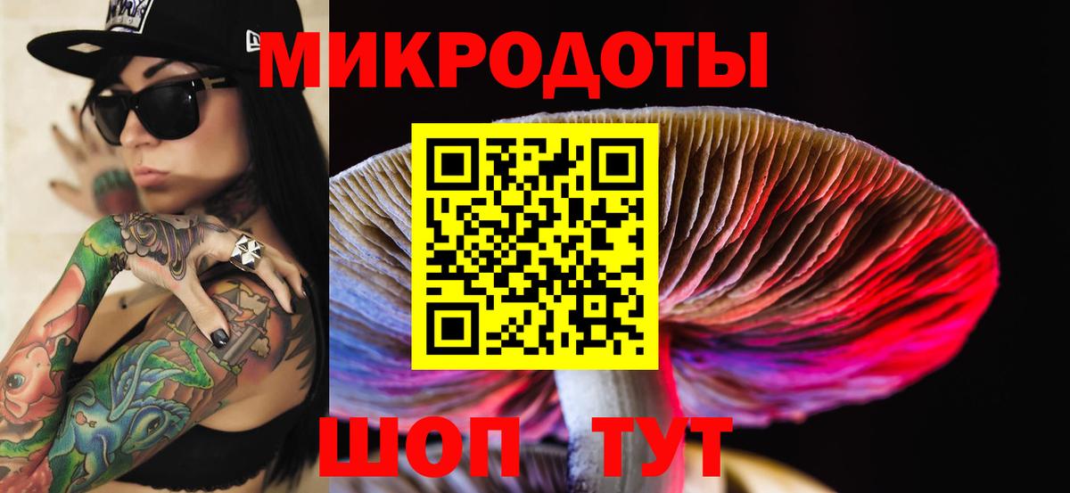 Галлюциногенные грибы Cubensis Уссурийск