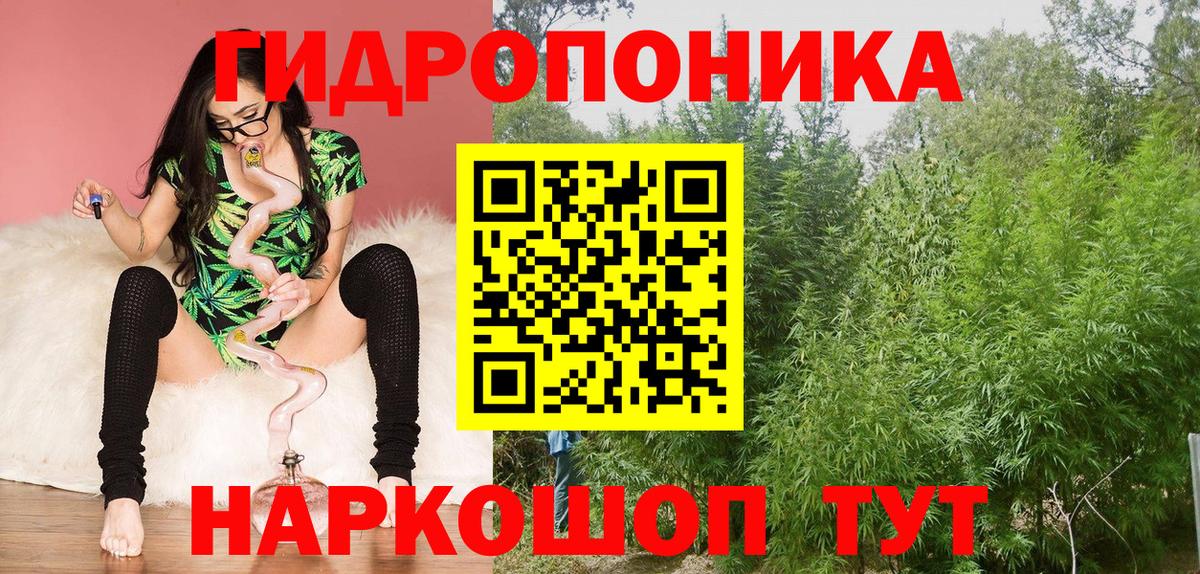 Канабис AK-47 Уссурийск